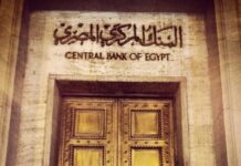 Fuga dal Dollaro: L’Egitto sceglie di non usarlo più come moneta unica per gli scambi internazionali