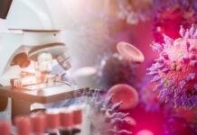 Cosa c’è nei vax, spiegato bene (finalmente)